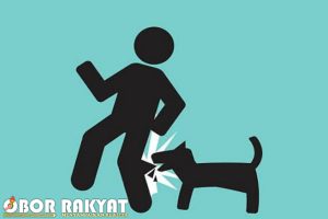 Mengenal Penyakit Rabies