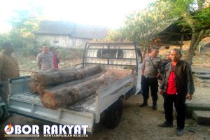 Lagi-lagi Petugas Perhutani Bondowoso Amankan Kayu Ilegal Logging