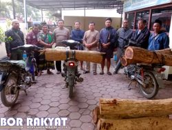 Kedapatan Lakukan Ilegal Logging, Warga Desa Bayuran Bondowoso Dijebloskan ke Sel Tahanan