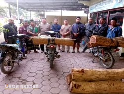 Polisi Amankan Pelaku Ilegal Logging di Bondowoso