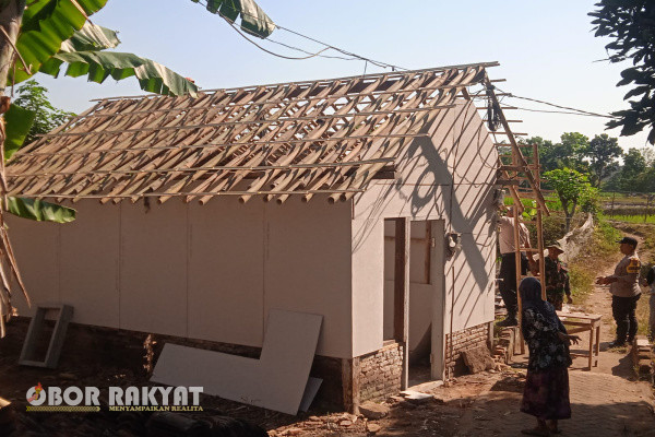 Seorang nenek di Kabupaten Jember, Mistikah (68) perempuan yang selama ini tinggal sendirian digubuk nya di Lingkungan Gebang Poreng, Kelurahan Gebang, Kecamatan Patrang, kini hdupnya sudah semakin layak.