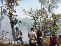Kawasan Hutan Lindung Petak 6A-1 Terbakar, Si Jago Merah Berhasil Dipadamkan