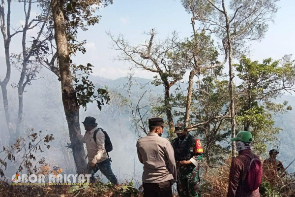 Bondowoso, Obor Rakyat - Musim kemarau yang tak kunjung berakhir, mengakibatkan dibeberapa titik lokasi dilanda kekeringan yang semakin menambah kerentenan dan kerawanan akan terjadinya kebakaran hutan dan lahan (Karhutla).