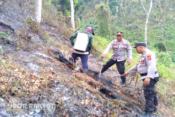 Banyuwangi, Obor Rakyat - Kebakaran melanda lahan Perkebunan Gunung Terong, Desa Kalibaru Wetan, Kecamatan Kalibaru Banyuwangi, Jumat (13/10/2023).