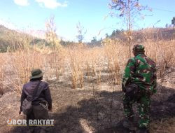 Terik Panas Ekstrim Masih Berlangsung, Kawasan Hutan Lindung Petak 87A RPH Balawan Kembali Terbakar