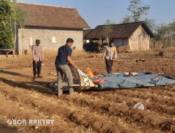 Polisi Bongkar Arena Judi Sabung Ayam di Banyuwangi