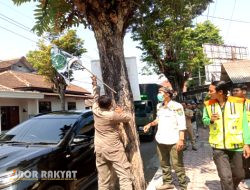 Puluhan Bendera Parpol di Bondowoso, Dicopot Satpol PP