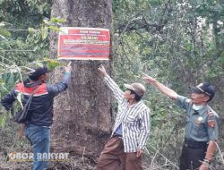 Antisipasi Gukamhut, Petugas Perhutani Bersama Forkopimcam Sumber Wringin Laksanakan Giat Patroli Gabungan