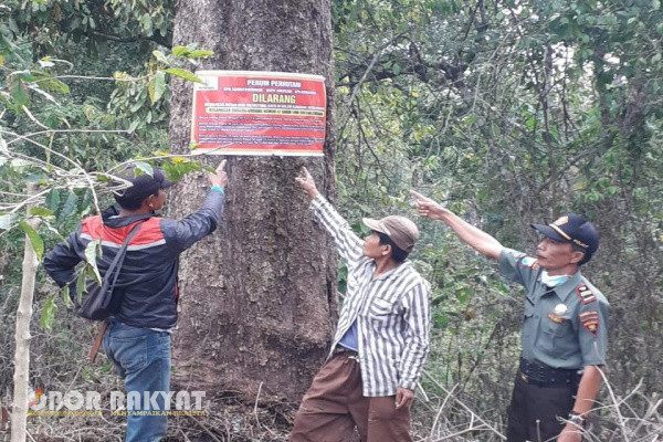 Bondowoso, Obor Rakyat - Upaya pencegahan dalam rangka antisipasi dini kemungkinan terjadinya gangguan keamanan hutan (Gukamhut), terus dilakukan oleh jajaran Perhutani sesuai dengan instruksi Ir. Ronny Merdyanto S.Hut, Administratur Kepala kesatuan