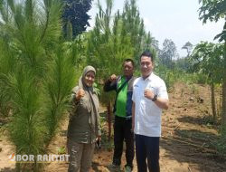 Kasi Utama Bidang Pembibitan dan Tanaman Perhutani Divisi Regional Jawa Timur, Kunker ke Perum Perhutani KPH Bondowoso