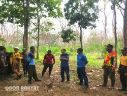 Jelang Akhir Tahun 2023, Perhutani KPH Gelar “Cutting Test” Tebang Habis Jati