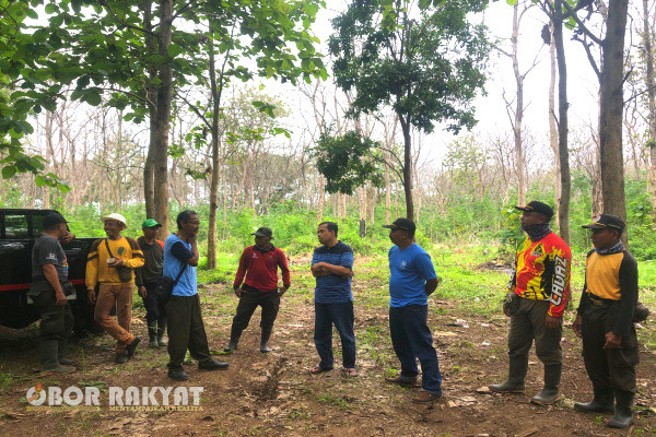 Hal ini diungkapkan oleh, Anton Sujarwo S.Hut, Wakil ADM/KSKPH Bondowoso selatan, pada acara uji petik (Cutting Test) tebang habis jati tahun 2024 petak 68E RPH Tegalampel BKPH Klabang, (Sabtu 9/12/3023).