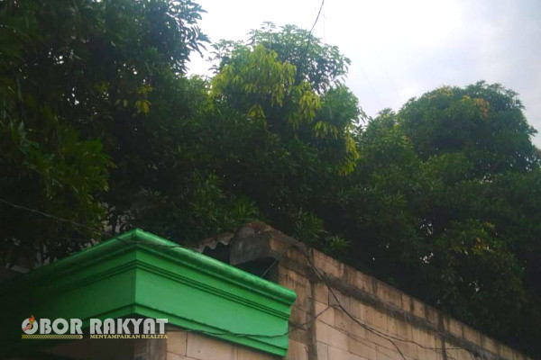 Surabaya, Obor Rakyat - Dinas Kebersihan dan Pertamanan (DKP) Surabaya, terkesan abaikan pelayanan publik. Pasalnya ketika warga mengajukan perampingan Pohon lebat yang berpotensi roboh, hingga kini belum ditindak lanjuti.