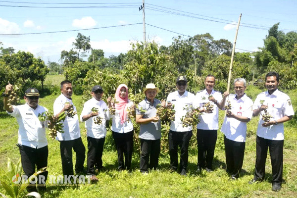Pj Bupati Bondowoso, Bambang Soekwanto, saat menghadiri acara peluncuran (launching) wisata buah ini, sangat mengapresiasi dan mendukung atas inovasi program Agrowisata buah tersebut.
