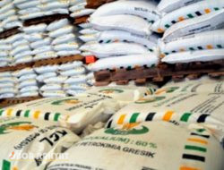 Kementan Memastikan Tidak Ada Pengurangan Jatah Pupuk Subsidi Untuk Petani