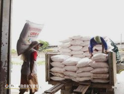Dinas Pertanian Situbondo Tutup Kios Penimbun Pupuk Subsidi