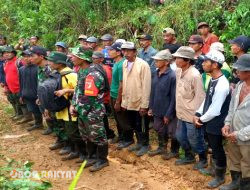Jaga Kelestarian Hutan, Perhutani KPH Bondowoso Bersama Forkopimcam Botolinggo, Gelar Reboisasi 1250 Plances Pohon