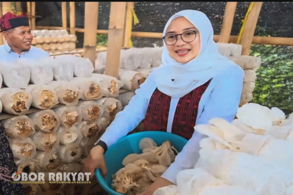 Banyuwangi, Obor Rakyat - Dusun Glowong, Desa Wringinagung, Kecamatan Gambiran, Kabupaten Banyuwangi, telah menjelma menjadi Kampung Jamur yang menjanjikan. 