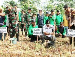 Mengukir Kemandirian Pangan Nasional, Kodam V/Bwr Gelar Penanaman Jagung Serentak di Bondowoso