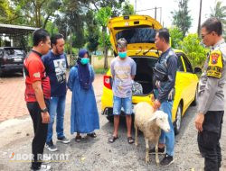 Curhewan Kambing Menggunakan Mobil Mewah, Pasutri di Bondowoso Dibekuk Polisi