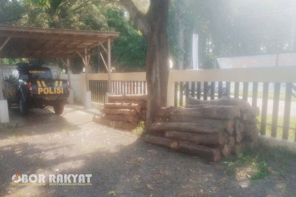 Bondowoso, Obor Rakyat - Kepolisian Sektor (Polsek) Klabang , Polres Bondowoso, berhasil mangamankan 81 gelondong kayu jati tanpa Surat Keterangan Sah nya (SKS), Selasa (19/3/3024), malam hari sekitar pukul 2.00 WIB.