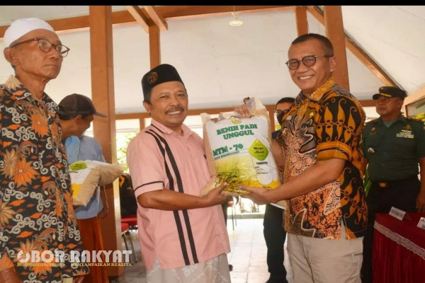 Bondowoso, Obor Rakyat - Pemerintah Kabupaten (Pemkab) Bondowoso melalui Dinas Pertanian dan Ketahanan Pangan (Dispertangan), memberikan bantuan benih padi Inpari 32 bagi para kelompok tani di lima (5) kecamatan.
