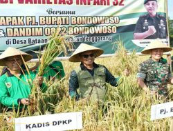 Dukung Ketahanan Pangan, Pj Bupati Bondowoso Bersama Dandim 0822 Hadiri Tanam-Panen Padi