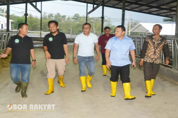 Bondowoso, Obor Rakyat - Mantan Kepala Staf Angkatan Darat (KSAD), Jenderal TNI (Purn) Dudung Abdurahman datang ke Kabupaten Bondowoso, Provinsi Jawa Timur, Jumat (24/5/2024).