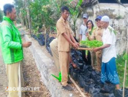 Spektakuler, Kades Jebung Kidul Melahirkan Terobosan Jitu dengan Program ‘Kampung Oksigen’