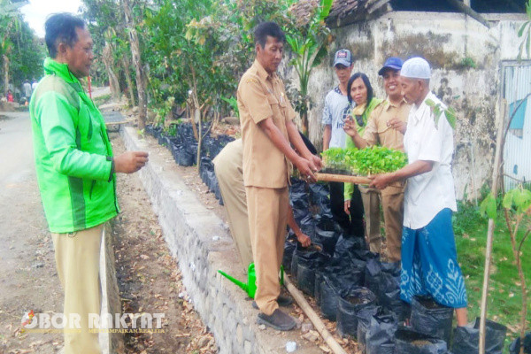 Bondowoso, Obor Rakyat - Bersumber dari Dana Desa (DD) tahun 2024, Ali Samsidi Kepala Desa (Kades) Jebung Kidul, Kecamatan Tlogosari, Kabupaten Bondowoso, Provinsi Jawa Timur, memberikan Inovasi dengan meluncurkan sebuah program 'Kampung Oksigen', Senin (10/6/2024).