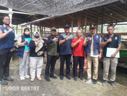 Guna Memastikan Kesehatan Hewan Kurban di Bondowoso, Tim Gabungan Lakukan Pemeriksaan