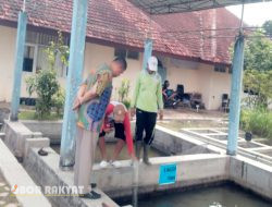Disnakkan Bondowoso Akan Menyediakan Kolam Fish Spa Untuk Masyarakat