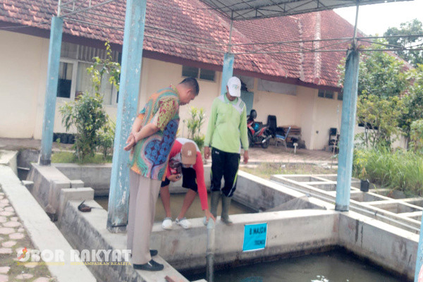 Bondowoso, Obor Rakyat - Dinas Peternakan dan Perikanan (Disnakkan) Bondowoso, Provinsi Jawa Timur berencana akan menyediakan fasilitas kolam terapi ikan (fish spa) bagi masyarakat.