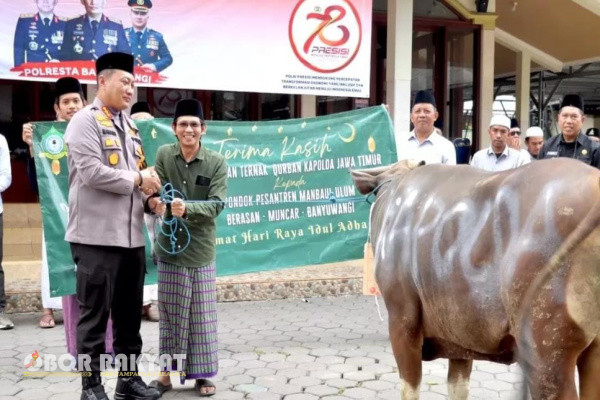 Banyuwangi, Obor Rakyat – Sebanyak 10 ekor Sapi dan 17 ekor Kambing dikorbankan oleh Kapolda Jatim Irjen Pol Drs Imam Sugianto untuk warga Banyuwangi.
