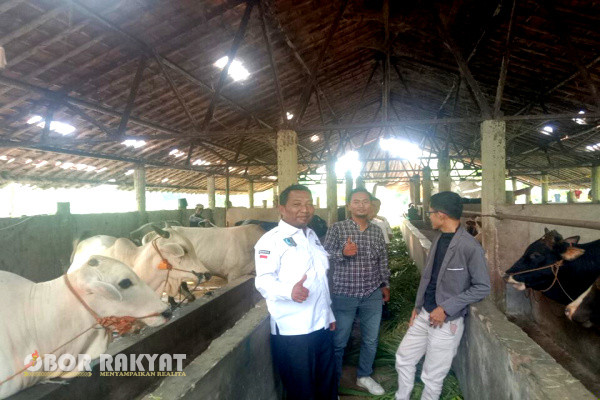 Aktivis sosial kontrol dari LSM Koalisi Masyarakat Penggerak Perubahan Indonesia (KOMPPI), mengapresiasi kegiatan peternakan atau budidaya sapi yang bersumber dari anggaran Dana Desa Jambe tersebut.