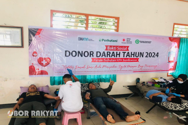 Bondowoso, Obor Rakyat - Memasuki awal bulan Agustus, dan dalam rangka menyambut Hari Ulang Tahun Kemerdekaan Republik Indonesia (HUT RI) ke- 79 Tahun 2024, karyawan dan karyawati Perum Perhutani KPH Bondowoso mengawali kegiatannya dengan melakukan kerja Bhakti disekitar lingkungan kantor bertempat di jalan A Yani 90 Jumat (2/8/2024),