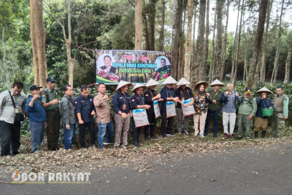 Bondowoso, Obor Rakyat - Dipenghujung musim panen kopi tahun 2024, Kepala Dinas Kehutanan (Kadishut) Provinsi Jawa Timur, Dr. Ir. Djumadi, M.MT menyempatkan diri untuk melakukan petik kopi jenis Arabika di di petak 23 blok si bujuk wilayah RPH Sukorejo BKPH Sukosari, Kabupaten Bondowoso, Kamis (8/8/2024).