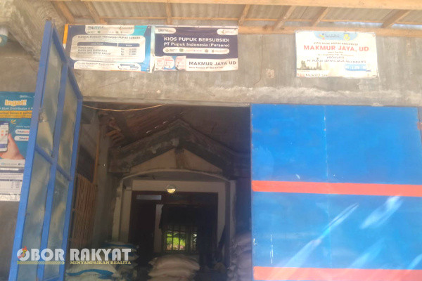 Bondowoso, Obor Rakyat – Petani di Desa Leprak, Kecamatan Klabang, Kabupaten Bondowoso, Jawa Timur, keluhkan kelangkaan pupuk.