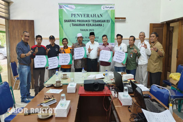 Bondowoso, Obor Rakyat - Berdasarkan perjanjian kerjasama atau memorandum of understanding (MoU), yang telah ditandatangani bersama antara Perum Perhutani KPH Bondowoso bersama dengan investor dan LMDH serta sesuai dengan hasil produksi kayu jenis Sengon laut pihak ke tiga, Misbakhul Munir, Administratur Perum Perhutani KPH Bondowoso yang didampingi oleh Anton Sujarwo S.Hut, wakil ADM KSKPH Bondowoso selatan, Mat Sudik, Kasi Madya Produksi dan Ekowisata serta Agus Sutrisno, Kasi Madya Keuangan, SDM, umum & IT menyerahkan shering atau bagi hasil kepada 19 orang investor dan 5 LMDH bertempat di ruang sonokeling Jumat (23/8/2024)