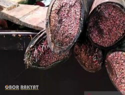Dikabarkan, Polsek Sawahan Berhasil Amankan Pencuri Kabel Telkom