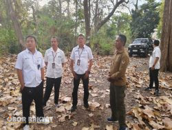 Kadivre Jatim Sidak ke Wilayah Kerja KPH Bondowoso 