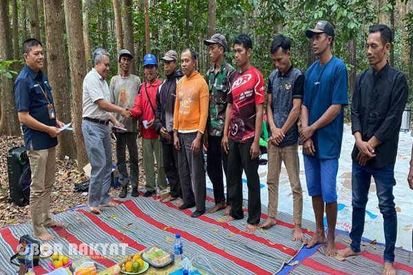 Bondowoso, Obor Rakyat - Kegiatan sadapan pohon Tusam yang lebih dikenal dengan Pinus dengan menghasilkan getah sebagai bahan baku penghasil Gondorukem dan Terpenting merupakan andalan kedua, setelah produksi kayu yang dapat menopang pendapatan dan penghasilan bagi Perum Perhutani.