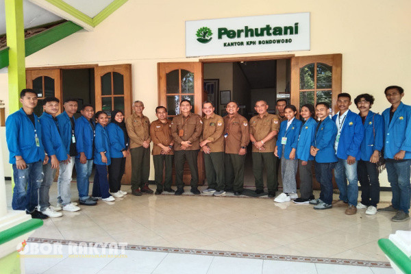 Bondowoso, Obor Rakyat - Sebagai wujud keperdulian terhadap dunia pendidikan sekaligus mempersiapkan generasi penerus dan calon pemimpin dimasa yang akan datang, Perum Perhutani Bondowoso menerima 13 orang mahasiswa dan mahasiswi Praktek Kerja Lapangan (PKL) wajib magang asal Politeknik Pertanian (Politani) Negeri Kupang, Selasa (17/9/2024), bertempat di ruang sonokeling jl. Jend. A. Yani 90 Bondowoso.