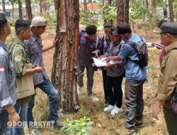 PKL di Perhutani Bondowoso, Mahasiswa Asal Politeknik Pertanian Negeri Kupang, Praktek Pemungutan HHK dan HHBK
