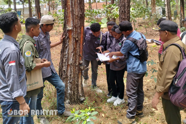 Bondowoso, Obor Rakyat - Arahan dan pesan dari Administratur Perum Perhutani KPH Bondowoso, Misbakhul Munir pada mahasiswa Praktek Kerja Lapangan (PKL) asal Politeknik Pertanian Negeri Kupang, rupanya mampu membangkitkan semangat mahasiswa dan mahasiswi dalam menyerap ilmu pengelolaan hutan yang diberikan.