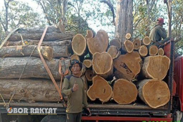 Bondowoso, Obor Rakyat - Di penghujung akhir pekan hampir setiap orang memanfaatkan waktunya untuk berlibur, bersenda gurau dan berkumpul dengan keluarga tercinta dirumah. Namun tidaklah demikian bagi dua orang pejabat yang merupakan anggota tim "Trabas Buana" Perum Perhutani KPH Bondowoso, yakni Maman Herman Kepala Seksi (Kasi) Madya Pembinaan Sumberdaya Hutan (BIN-SDH) dan Agus Sutrisno Kasi Madya Keuangan, SDM, umum & IT Perhutani Bondowoso.