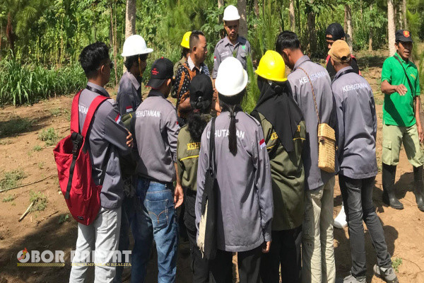Bondowoso, Obor Rakyat - Proses penyediaan bibit tanaman kehutanan melalui Persemaian merupakan rutinitas yang dilakukan oleh Perum Perhutani dalam rangka reboisasi atau penaman pohon dalam kawasan hutan yang menjadi tugas utama dan bersifat wajib bagi para rimbawan.