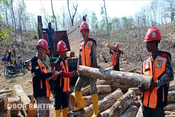Bondowoso, Obor Rakyat - Sesuai instruksi Administratur Perum Perhutani KPH Bondowoso bahwa seluruh kegiatan pekerjaan yang menjadi ketetapan Rencana Kerja Anggaran Perusahaan (RKAP) tahun 2024 harus sudah selesai sebelum tutup tahun. Artinya seluruh rimbawan harus bekerja ekstra keras dengan memanfaatkan sisa waktu dua sampai tiga bulan kedepan untuk menuntaskan seluruh Terget pekerjaannya.