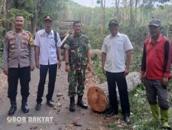 Jalin Komunikasi, Jajaran Forkopimcam Kunjungi Lokasi Tebangan di Petak 60B RPH Sumber Wringin Bondowoso 