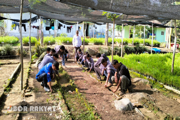 Bondowoso, Obor Rakyat - Cikal bakal pendapatan bagi Perum Perhutani sebagai pengelola kawasan hutan negara adalah dari hasil reboisasi atau tanaman yang dilaksanakan, karena dari pohon yang tertanam akan menghasilkan produk kayu dengan nilai ekonomi tinggi sehingga masih menjadi andalan utama untuk meraup keuntungan bagi pengelola.